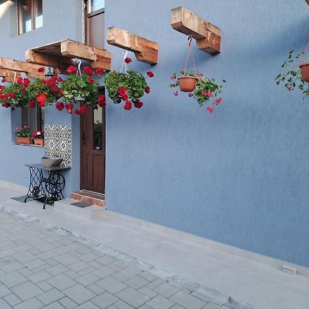 Вилла Casa Rustica Saceleana Экстерьер фото