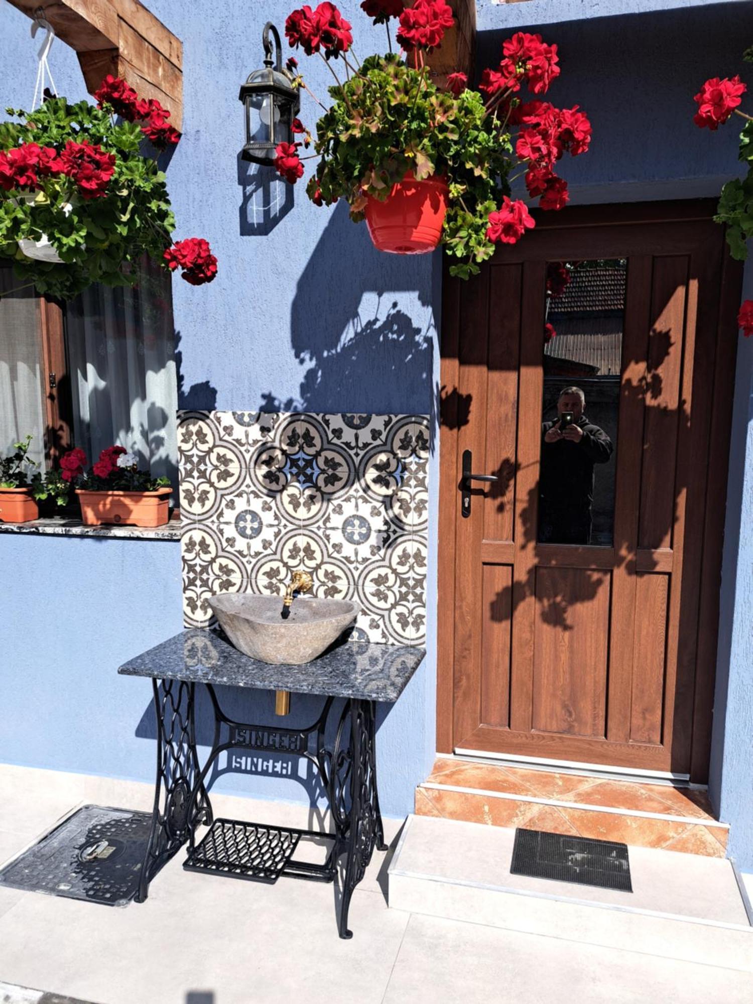 Вилла Casa Rustica Saceleana Экстерьер фото